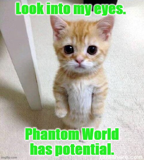 Cute Cat Meme | Look into my eyes. Phantom World has potential. | image tagged in memes,cute cat | made w/ Imgflip meme maker