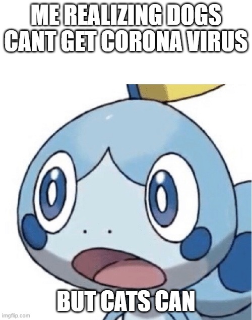 Shocked Sobble 2 | ME REALIZING DOGS CANT GET CORONA VIRUS; BUT CATS CAN | image tagged in shocked sobble 2 | made w/ Imgflip meme maker