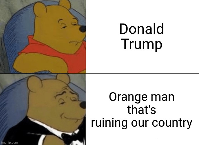 Tuxedo Winnie The Pooh | Donald Trump; Orange man that's ruining our country | image tagged in memes,tuxedo winnie the pooh | made w/ Imgflip meme maker