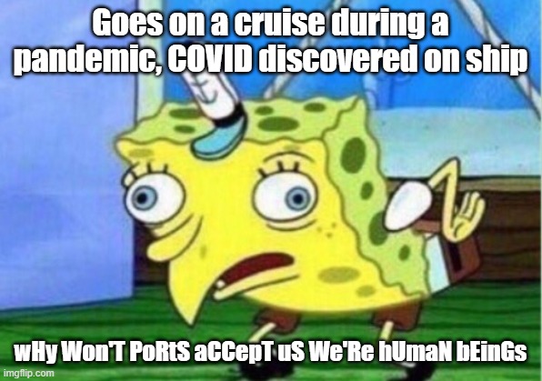 Mocking Spongebob | Goes on a cruise during a pandemic, COVID discovered on ship; wHy Won'T PoRtS aCCepT uS We'Re hUmaN bEinGs | image tagged in memes,mocking spongebob | made w/ Imgflip meme maker