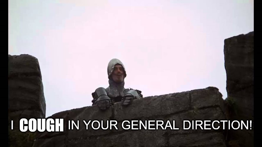 Cough in your General Direction | COUGH; I                IN YOUR GENERAL DIRECTION! | image tagged in monty python,general direction,covid-19,coronavirus,cough,remix | made w/ Imgflip meme maker
