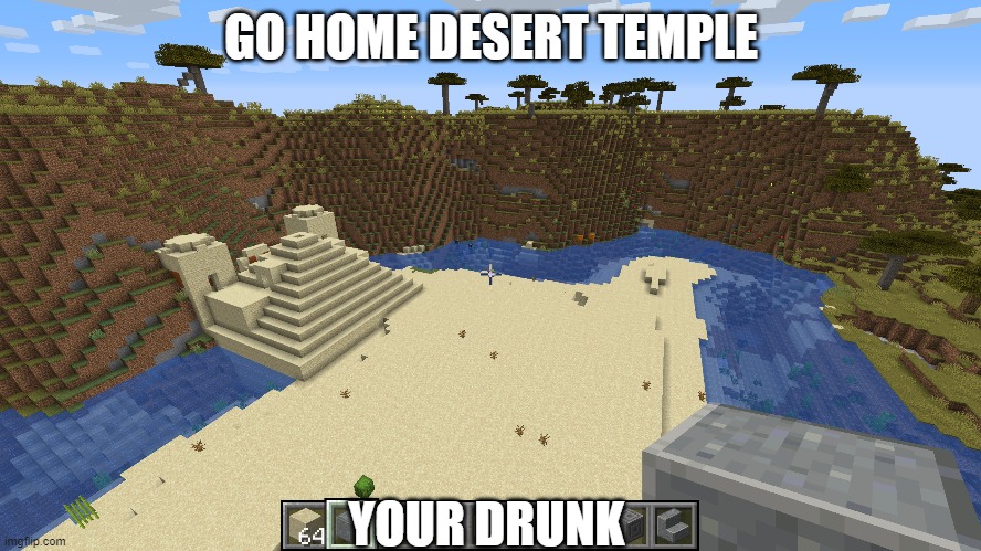 Minecraft world generation logic | GO HOME DESERT TEMPLE; YOUR DRUNK | image tagged in minecraft,go home youre drunk,memes,funny,dastarminers awesome memes,video games | made w/ Imgflip meme maker