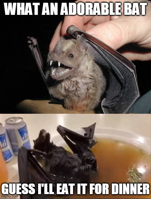 How Corona Pandemic Started In A Single Meme | WHAT AN ADORABLE BAT; GUESS I'LL EAT IT FOR DINNER | image tagged in memes,bats,coronavirus,pandemic,corona,covid-19 | made w/ Imgflip meme maker