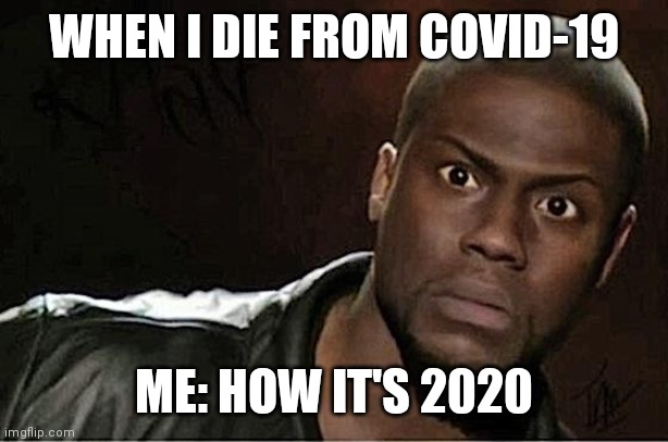Kevin Hart Meme | WHEN I DIE FROM COVID-19; ME: HOW IT'S 2020 | image tagged in memes,kevin hart | made w/ Imgflip meme maker