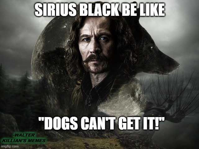 Dogs cant get corona virus | SIRIUS BLACK BE LIKE; "DOGS CAN'T GET IT!"; -WALTER KILLIAN'S MEMES | image tagged in harry potter,sirius black,walter killians memes | made w/ Imgflip meme maker