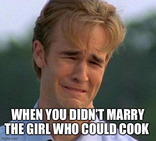 1990s First World Problems | WHEN YOU DIDN’T MARRY THE GIRL WHO COULD COOK | image tagged in memes,1990s first world problems | made w/ Imgflip meme maker