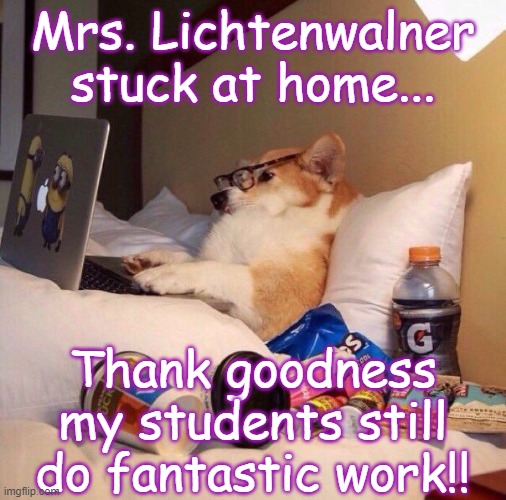 Lazy dog in bed |  Mrs. Lichtenwalner stuck at home... Thank goodness my students still do fantastic work!! | image tagged in lazy dog in bed | made w/ Imgflip meme maker