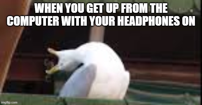 This happens to me so much! | WHEN YOU GET UP FROM THE COMPUTER WITH YOUR HEADPHONES ON | image tagged in inhaling seagull,computer,headphones,frustration,first world problems | made w/ Imgflip meme maker