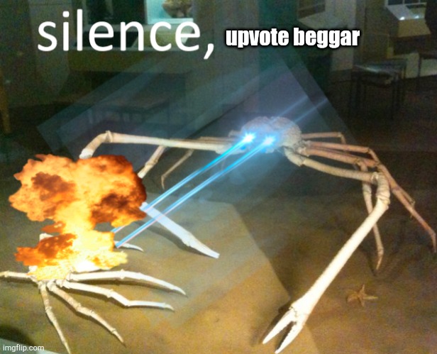 Silence Crab | upvote beggar | image tagged in silence crab | made w/ Imgflip meme maker