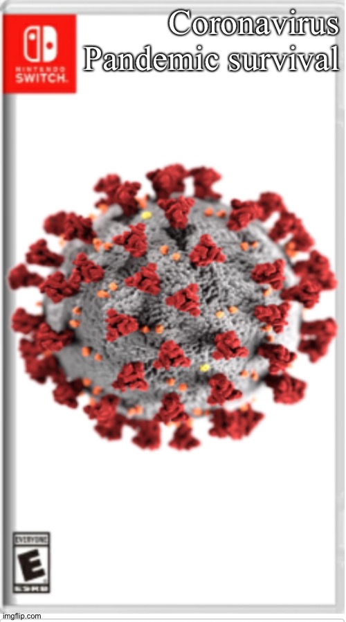 Blank Switch game | Coronavirus Pandemic survival | image tagged in blank switch game | made w/ Imgflip meme maker