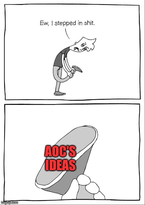 Ew, i stepped in shit | AOC'S IDEAS | image tagged in ew i stepped in shit | made w/ Imgflip meme maker