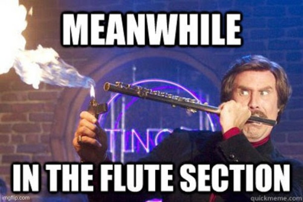 Me in band EOL | image tagged in band,band nerds,flute | made w/ Imgflip meme maker