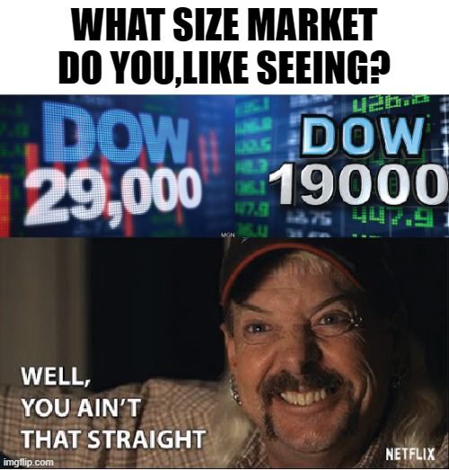 You ain't that straight | WHAT SIZE MARKET DO YOU,LIKE SEEING? | image tagged in joe exotic,stock market,funny memes,tiger king,netflix | made w/ Imgflip meme maker