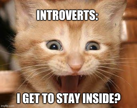 Excited Cat Meme | INTROVERTS:; I GET TO STAY INSIDE? | image tagged in memes,excited cat | made w/ Imgflip meme maker
