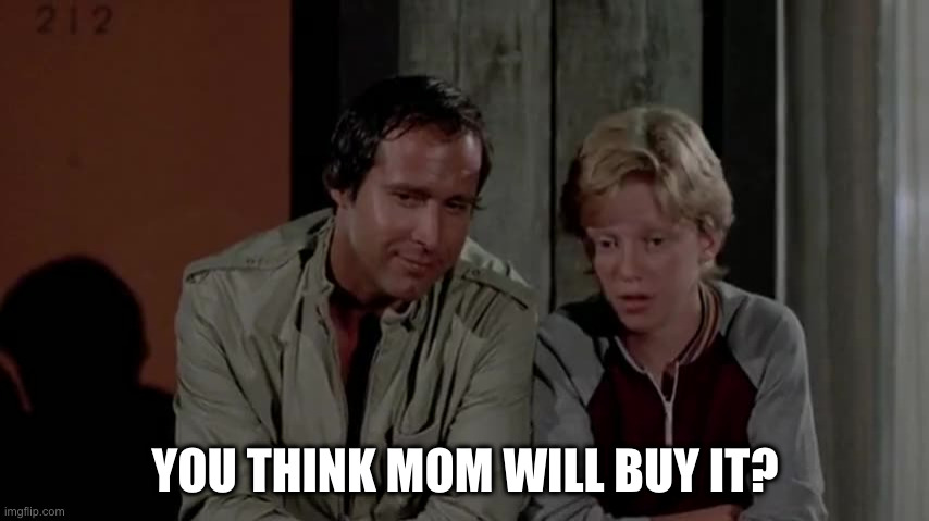 You think mom wil buy it? | YOU THINK MOM WILL BUY IT? | image tagged in vacation,griswold,rusty,clarke | made w/ Imgflip meme maker