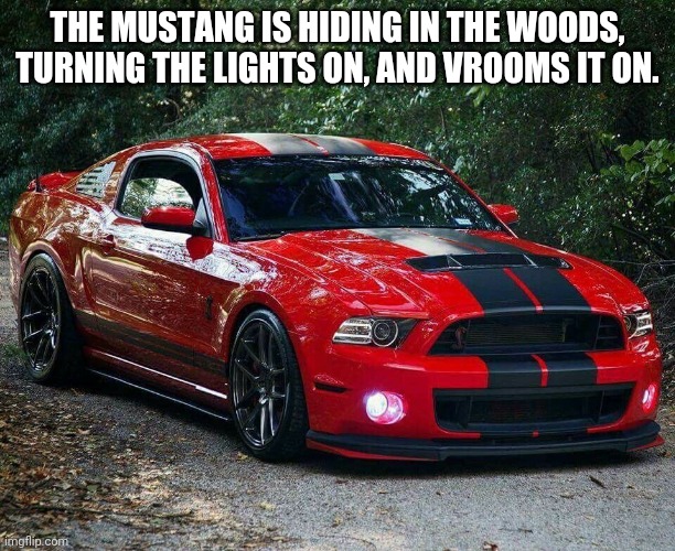 Mustang 1 | THE MUSTANG IS HIDING IN THE WOODS, TURNING THE LIGHTS ON, AND VROOMS IT ON. | image tagged in mustang 1 | made w/ Imgflip meme maker