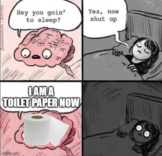 waking up brain | I AM A TOILET PAPER NOW | image tagged in waking up brain | made w/ Imgflip meme maker