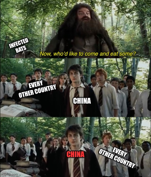 Why, China? | INFECTED BATS; Now, who’d like to come and eat some? EVERY OTHER COUNTRY; CHINA; EVERY OTHER COUNTRY; CHINA | image tagged in harry potter,memes,funny,coronavirus,bats,china | made w/ Imgflip meme maker