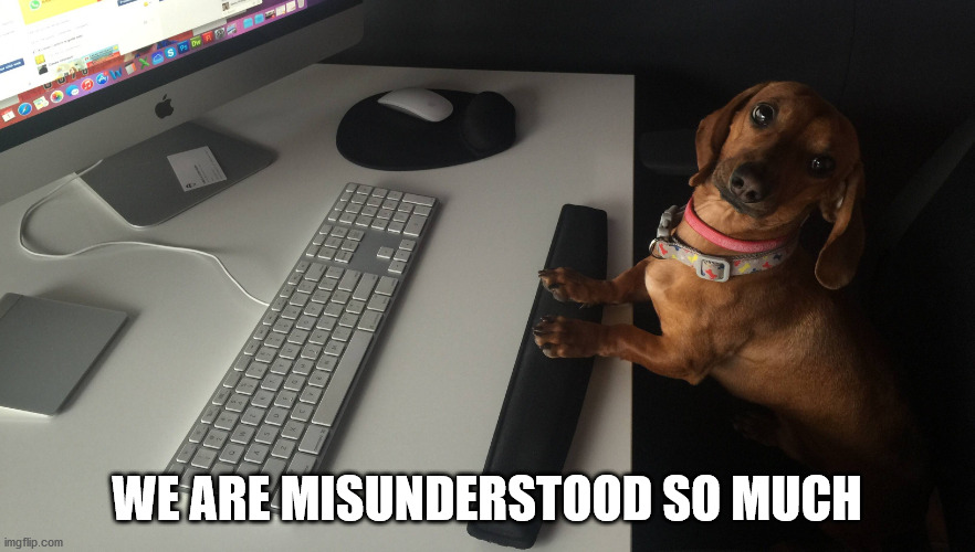 dog tech support | WE ARE MISUNDERSTOOD SO MUCH | image tagged in dog tech support | made w/ Imgflip meme maker