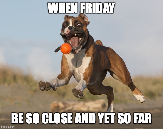 #welovefridays | WHEN FRIDAY; BE SO CLOSE AND YET SO FAR | image tagged in memes | made w/ Imgflip meme maker