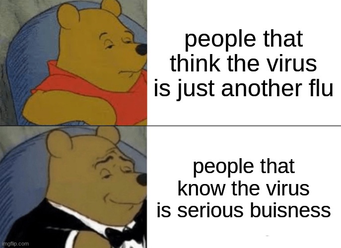 Tuxedo Winnie The Pooh | people that think the virus is just another flu; people that know the virus is serious buisness | image tagged in memes,tuxedo winnie the pooh | made w/ Imgflip meme maker