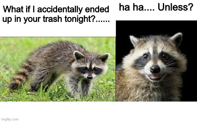 Raccoon... Unless? | What if I accidentally ended up in your trash tonight?...... ha ha.... Unless? | image tagged in raccoon,evil plotting raccoon | made w/ Imgflip meme maker