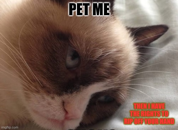 PET ME; THEN I HAVE THE RIGHTS TO RIP OFF YOUR HAND | image tagged in grumpy cat | made w/ Imgflip meme maker