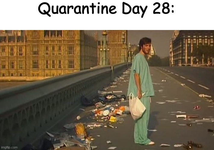 it's been....days? | Quarantine Day 28: | image tagged in quarantine,covid-19,28 days later | made w/ Imgflip meme maker