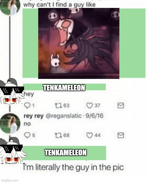 Literally the guy in the pic | TENKAMELEON; TENKAMELEON | image tagged in literally the guy in the pic | made w/ Imgflip meme maker