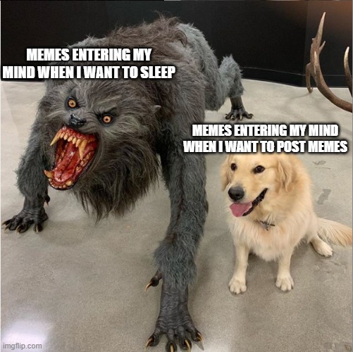 dog monster | MEMES ENTERING MY MIND WHEN I WANT TO SLEEP; MEMES ENTERING MY MIND WHEN I WANT TO POST MEMES | image tagged in dog monster | made w/ Imgflip meme maker