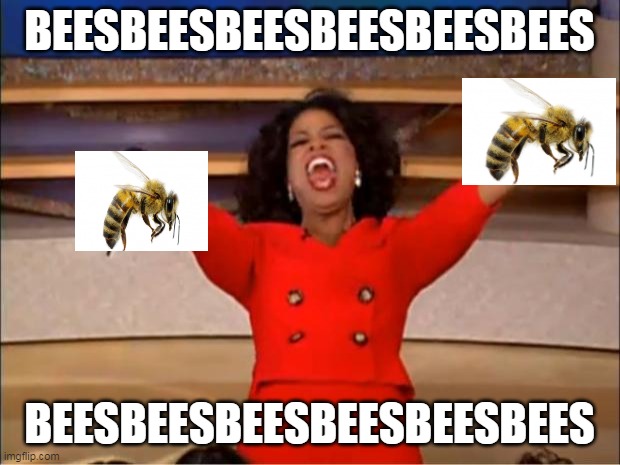 Oprah You Get A Meme | BEESBEESBEESBEESBEESBEES; BEESBEESBEESBEESBEESBEES | image tagged in memes,oprah you get a | made w/ Imgflip meme maker