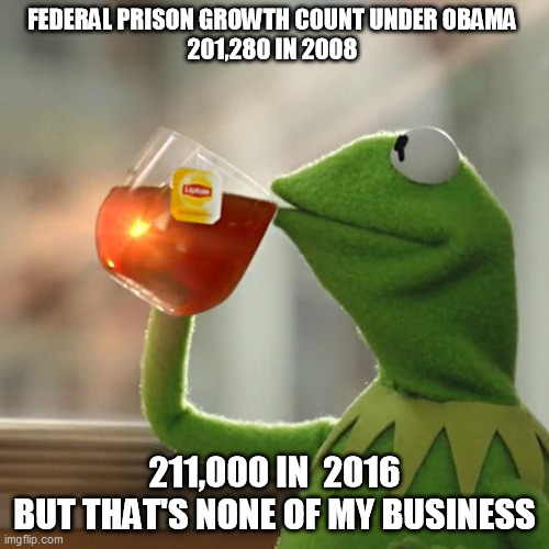 But That's None Of My Business | FEDERAL PRISON GROWTH COUNT UNDER OBAMA 
201,280 IN 2008; 211,000 IN  2016
BUT THAT'S NONE OF MY BUSINESS | image tagged in memes,but that's none of my business,kermit the frog | made w/ Imgflip meme maker