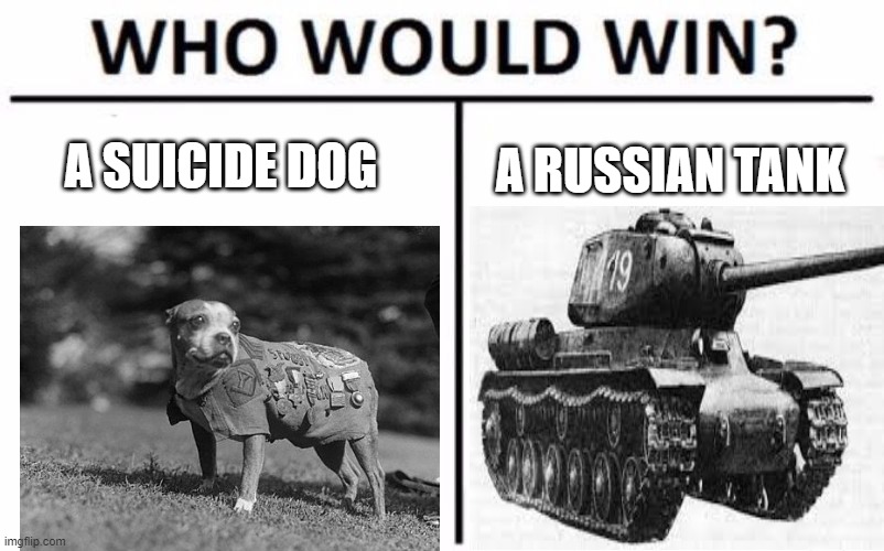 A SUICIDE DOG; A RUSSIAN TANK | image tagged in world war 2 | made w/ Imgflip meme maker