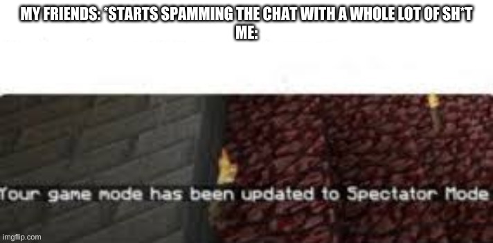 Your Game mode has been updated to spectator mode | MY FRIENDS: *STARTS SPAMMING THE CHAT WITH A WHOLE LOT OF SH*T
ME: | image tagged in your game mode has been updated to spectator mode | made w/ Imgflip meme maker