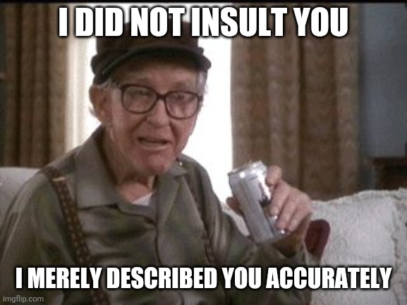 Insult | I DID NOT INSULT YOU; I MERELY DESCRIBED YOU ACCURATELY | image tagged in insult | made w/ Imgflip meme maker