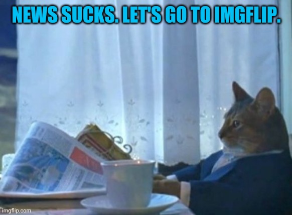 I Should Buy A Boat Cat Meme | NEWS SUCKS. LET'S GO TO IMGFLIP. | image tagged in memes,i should buy a boat cat | made w/ Imgflip meme maker