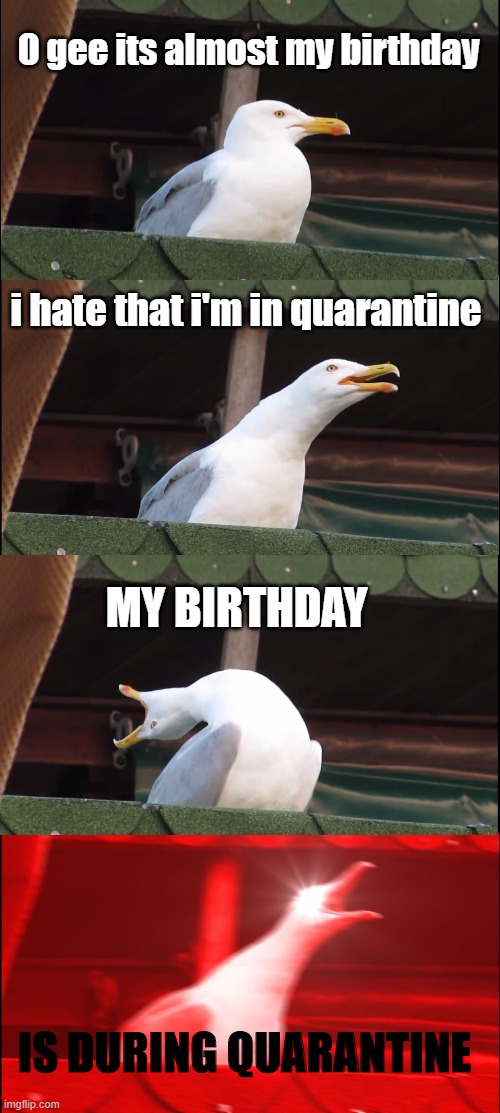Inhaling Seagull Meme | O gee its almost my birthday; i hate that i'm in quarantine; MY BIRTHDAY; IS DURING QUARANTINE | image tagged in memes,inhaling seagull | made w/ Imgflip meme maker