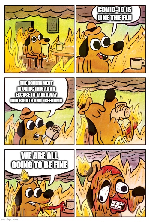 This is Fine Dog | COVID-19 IS LIKE THE FLU; THE GOVERNMENT IS USING THIS AS AN EXCUSE TO TAKE AWAY OUR RIGHTS AND FREEDOMS; WE ARE ALL GOING TO BE FINE | image tagged in this is fine dog | made w/ Imgflip meme maker