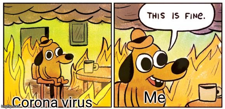This Is Fine | Me; Corona virus | image tagged in memes,this is fine | made w/ Imgflip meme maker