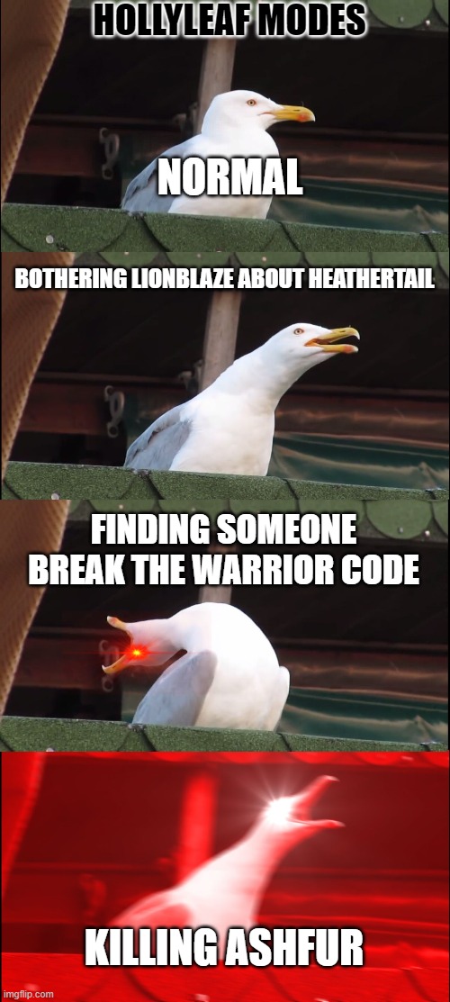 Inhaling Seagull | HOLLYLEAF MODES; NORMAL; BOTHERING LIONBLAZE ABOUT HEATHERTAIL; FINDING SOMEONE BREAK THE WARRIOR CODE; KILLING ASHFUR | image tagged in memes,inhaling seagull | made w/ Imgflip meme maker