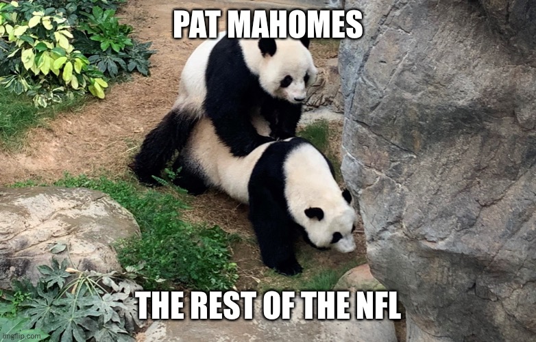 PAT MAHOMES; THE REST OF THE NFL | made w/ Imgflip meme maker