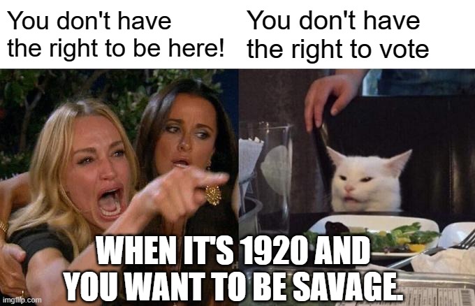 Woman Yelling At Cat Meme | You don't have the right to be here! You don't have the right to vote; WHEN IT'S 1920 AND YOU WANT TO BE SAVAGE. | image tagged in memes,woman yelling at cat | made w/ Imgflip meme maker