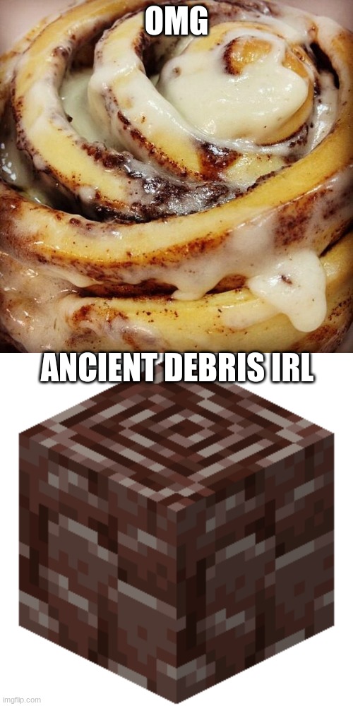 OMG; ANCIENT DEBRIS IRL | image tagged in cinnamon bun | made w/ Imgflip meme maker