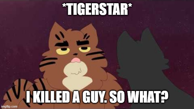 it means alot of things, man | *TIGERSTAR*; I KILLED A GUY. SO WHAT? | image tagged in warriors | made w/ Imgflip meme maker