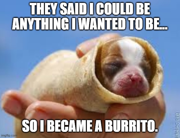 I Became A Burrito | THEY SAID I COULD BE ANYTHING I WANTED TO BE... SO I BECAME A BURRITO. | image tagged in lol | made w/ Imgflip meme maker