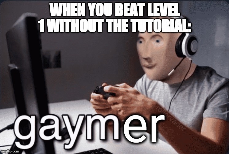 Gaym | WHEN YOU BEAT LEVEL 1 WITHOUT THE TUTORIAL:; er | image tagged in gaym | made w/ Imgflip meme maker