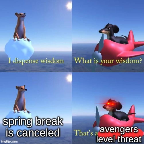 Wisdom dog | spring break is canceled; avengers level threat | image tagged in wisdom dog | made w/ Imgflip meme maker