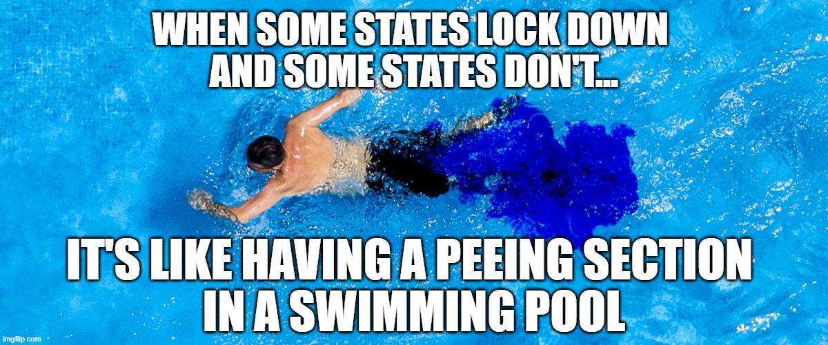 United We Stand, Divided We Fall. | WHEN SOME STATES LOCK DOWN 
AND SOME STATES DON'T... IT'S LIKE HAVING A PEEING SECTION 
IN A SWIMMING POOL | image tagged in pee,pool,covid,quarantine,united | made w/ Imgflip meme maker