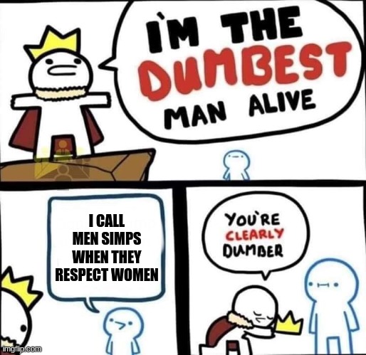 Dumbest Man Alive Blank | I CALL MEN SIMPS WHEN THEY RESPECT WOMEN | image tagged in dumbest man alive blank | made w/ Imgflip meme maker