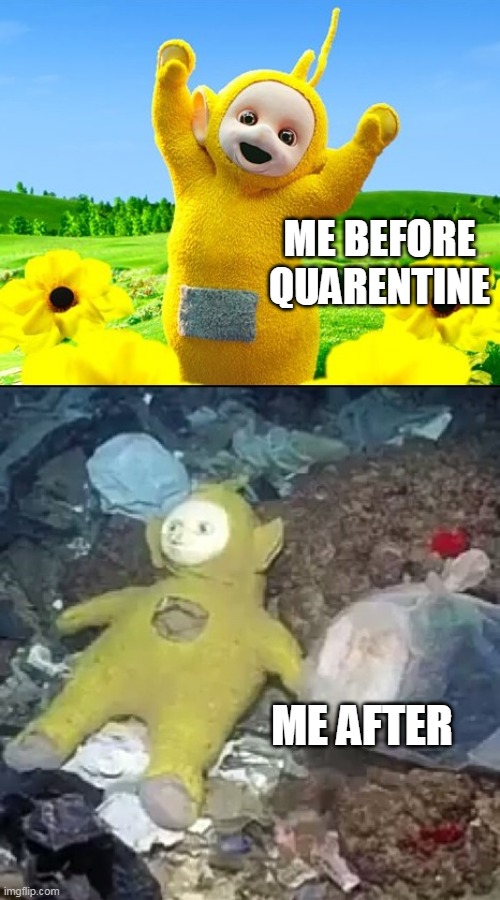 Teletubby before & after | ME BEFORE QUARENTINE; ME AFTER | image tagged in teletubby before  after | made w/ Imgflip meme maker